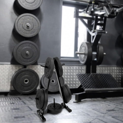 Ultimate Gym Storage Solution: Olympic 2 Plate Weight Rack - Organize,